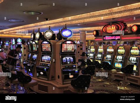 slot palace casino